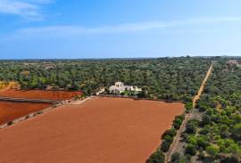 NEWLY BUILT FINCA IN SES SALINES