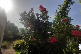 Detached Country House with Garden