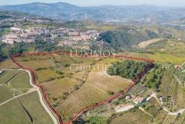 Quinta vinícola - para venda - Douro Valley