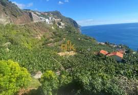 Land with 2295 m2