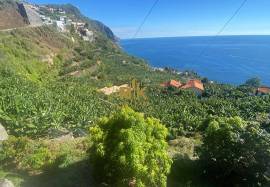 Land with 2295 m2