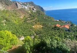Land with 2295 m2