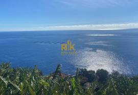 Land with 2295 m2