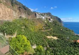 Land with 2295 m2