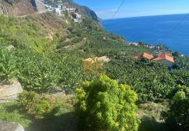 Land with 2295 m2
