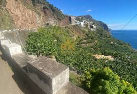 Land with 2295 m2