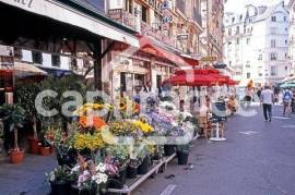 Dpt Maine et Loire (49), à vendre proche de ANGERS Fleuriste