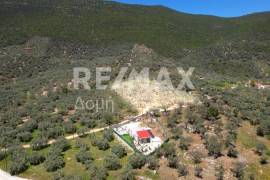 Agricultural 4005 sq.m for sale