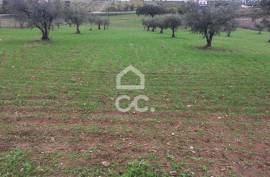 Land Moura