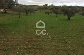 Land Moura