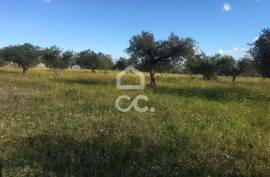 Land Moura