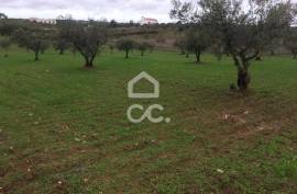 Land Moura