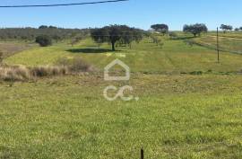 Land Moura