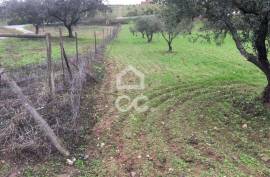Land Moura