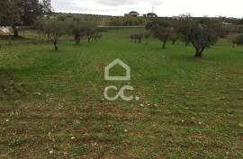 Land Moura