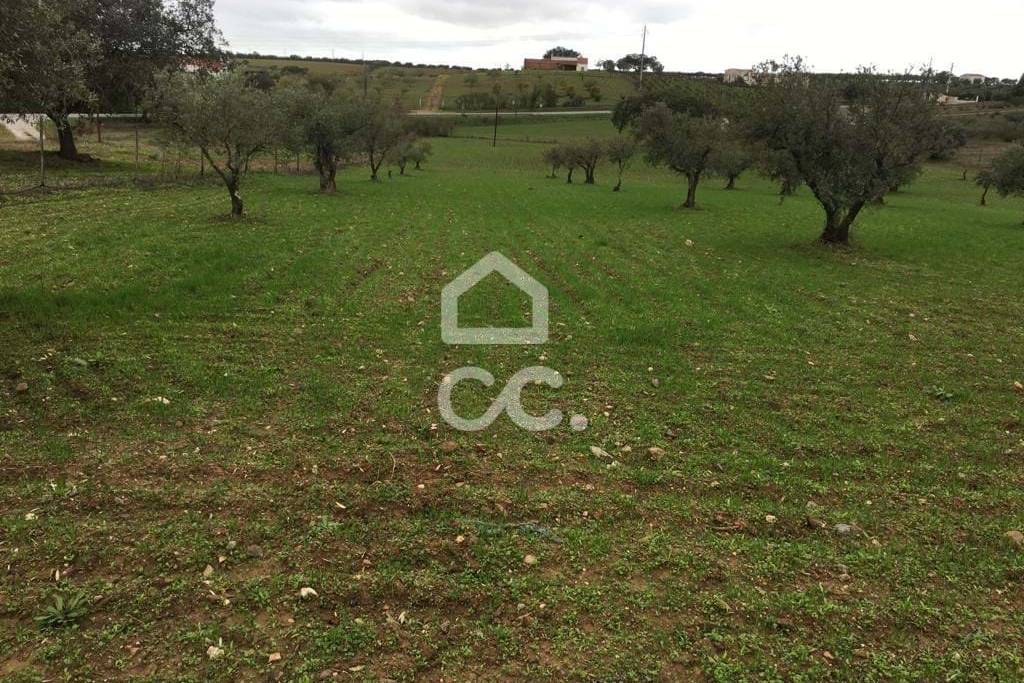 Land Moura