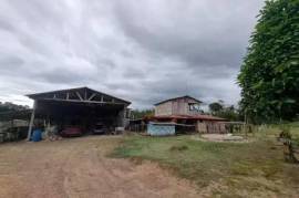 Brasil: Explotación frutícola del Amazonas - LAk-BR-003