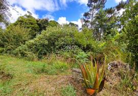 Land With 5580m2 for sale in Santo António da Serra, Machico, Madeira Island