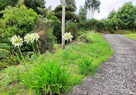 Land With 5580m2 for sale in Santo António da Serra, Machico, Madeira Island