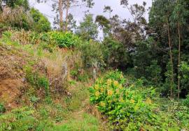 Land With 5580m2 for sale in Santo António da Serra, Machico, Madeira Island