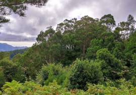 Land With 5580m2 for sale in Santo António da Serra, Machico, Madeira Island