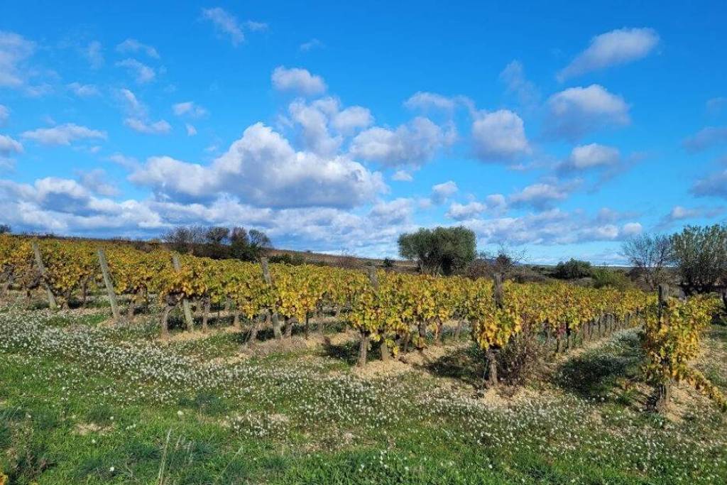 Flat Building Plot Of 1643 M2 In A Lovely Location With Views.