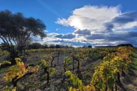 Flat Building Plot Of 1643 M2 In A Lovely Location With Views.