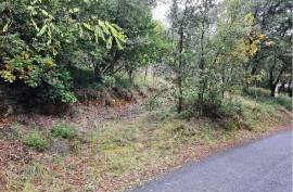 Building Plot For Sale, Services Nearby