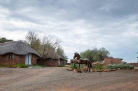 Sundown Lodge For Sale in Aliwal North Eastern Cape South