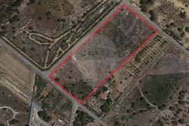 Excellent Plot of Land for Construction
Excellent plot of land for housing