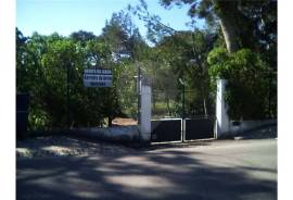 The Ideal Land to open your business