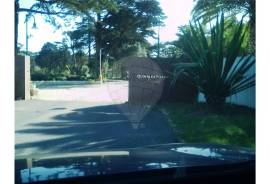 The Ideal Land to open your business