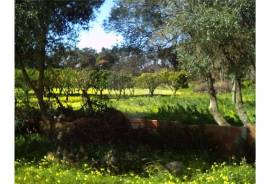 The Ideal Land to open your business