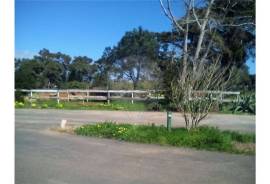 The Ideal Land to open your business
