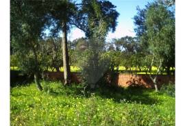 The Ideal Land to open your business