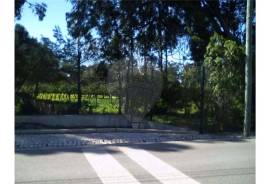 The Ideal Land to open your business