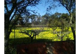 The Ideal Land to open your business