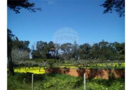 The Ideal Land to open your business