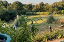 Excellent 5 Bed House & Gite For Sale In Sarlat la Caneda Dordogne France Excellent 5 Bed House & Gite For Sale In Sarlat la Caneda Dordogne France
