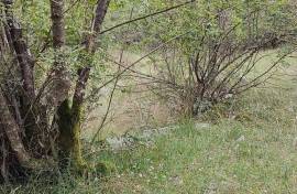 Two Plots of land for sale in Danilovgrad