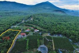 Two Plots of land for sale in Danilovgrad
