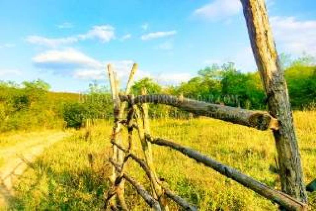 PayMonthly Bulgaria Property 6000 sq. meters Plot of Land by The River