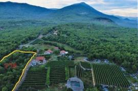 Two Plots of land for sale in Danilovgrad
