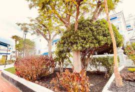 1 bedroom Apartment In Royal Palm Complex For Sale In Los Cristianos LP13177