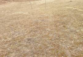 Excellent Plot of land for sale in Grozavești