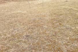 Excellent Plot of land for sale in Grozavești
