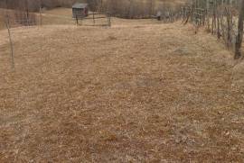 Excellent Plot of land for sale in Grozavești