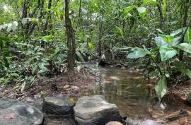 4 Hectares of land for sale in Playa Las Lajas Toledo