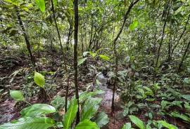 4 Hectares of land for sale in Playa Las Lajas Toledo