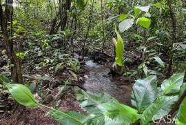 4 Hectares of land for sale in Playa Las Lajas Toledo